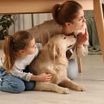 Sentiu a terra a tremer? O que fazer (e o que evitar) durante um sismo