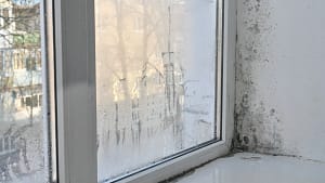 Época da humidade? Eis os truques caseiros para combater este problema