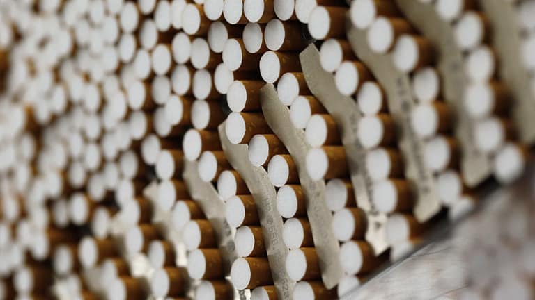 “Ainda existe a ideia política de que o tabaco faz parte da economia”