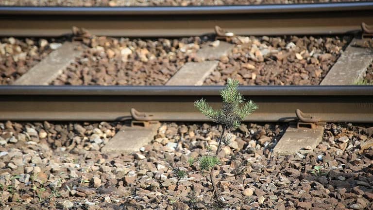 IP contrata instalação de abrigos em duas estações da Linha de Leixões