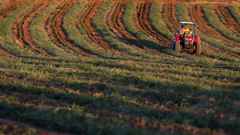 São Tomé pede continuidade de apoio às fileiras agrícolas de exportação