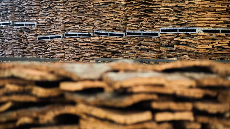 Lucro da Corticeira Amorim sobe 0,8% no 1.º semestre para 36,8 milhões