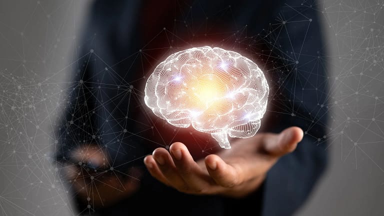 Os ‘segredos’ da tomada de decisão. Neurocientistas revelam mapa cerebral