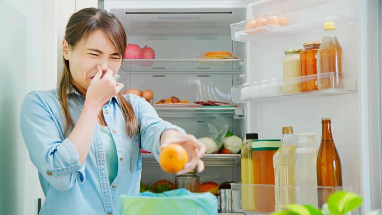 Cinco dicas para reduzir odores no frigorífico