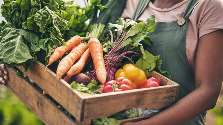 Este vegetal (muitas vezes ignorado) é uma ‘arma secreta’ contra o cancro
