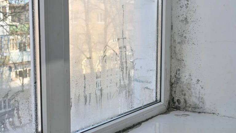 Época da humidade? Eis os truques caseiros para combater este problema