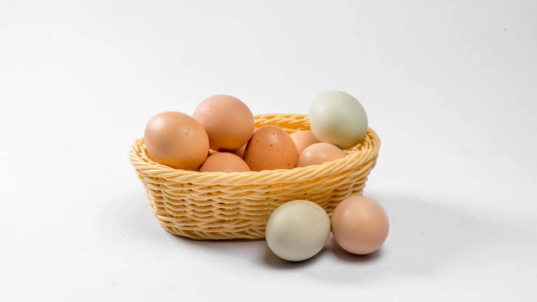 Os ovos têm prazo de validade? E como saber se estão estragados?
