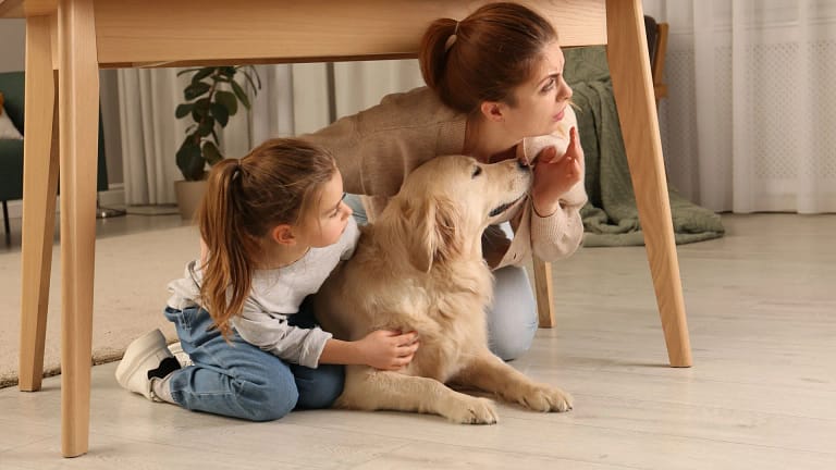 Sentiu a terra a tremer? O que fazer (e o que evitar) durante um sismo