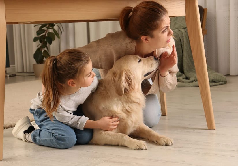 Sentiu a terra a tremer? O que fazer (e o que evitar) durante um sismo