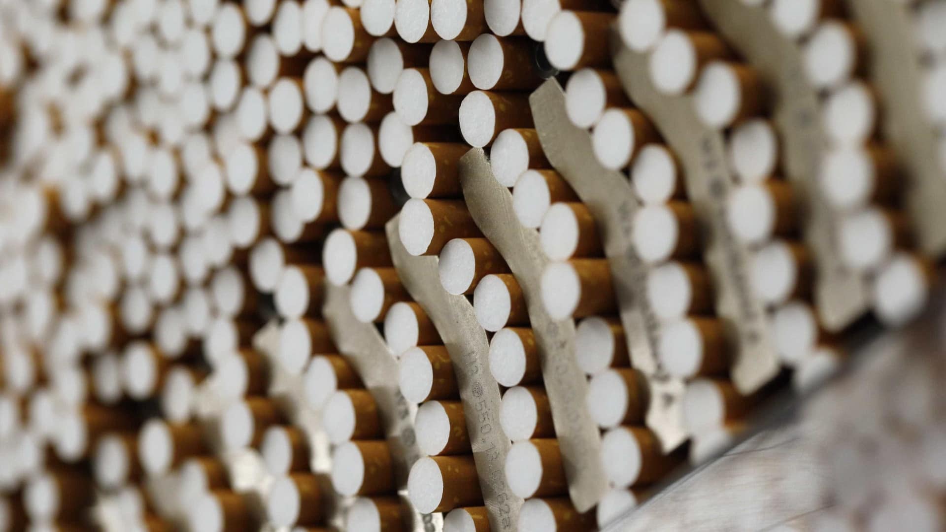 “Ainda existe a ideia política de que o tabaco faz parte da economia” “Ainda existe a ideia política de que o tabaco faz parte da economia”