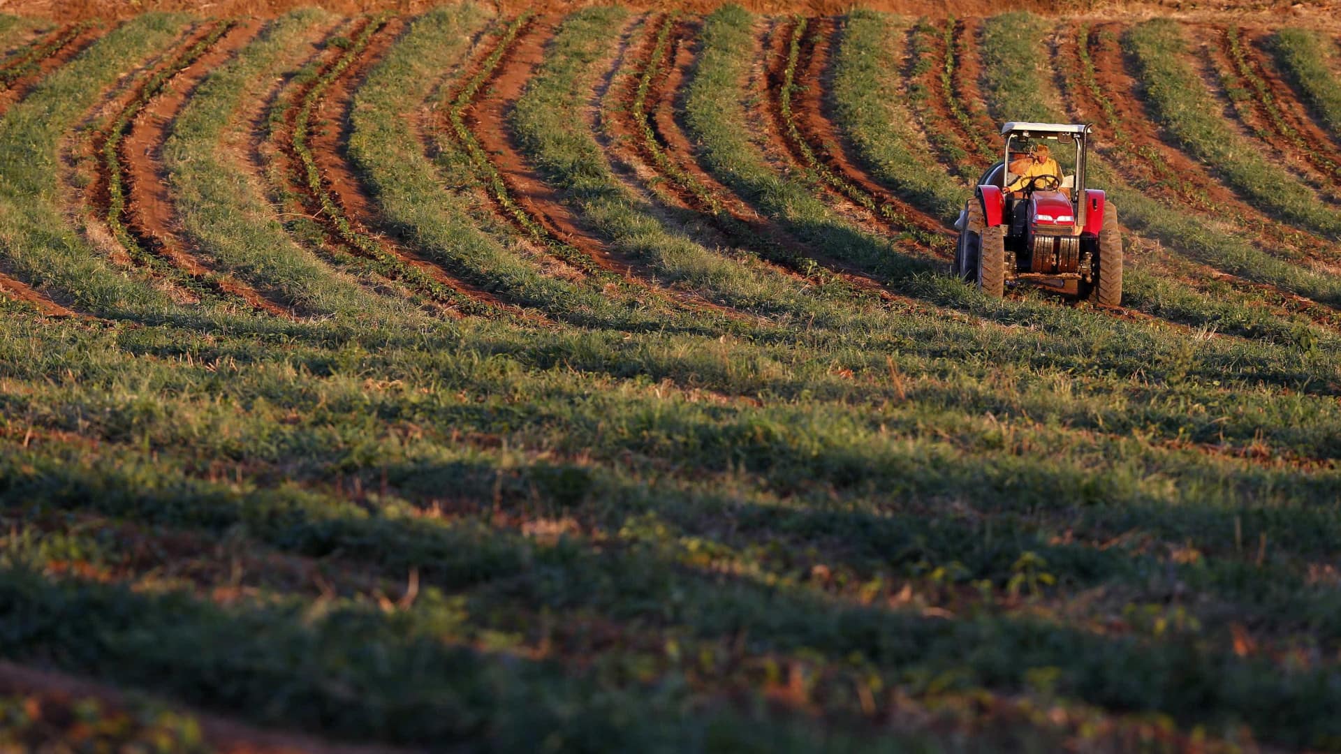 São Tomé pede continuidade de apoio às fileiras agrícolas de exportação São Tomé pede continuidade de apoio às fileiras agrícolas de exportação