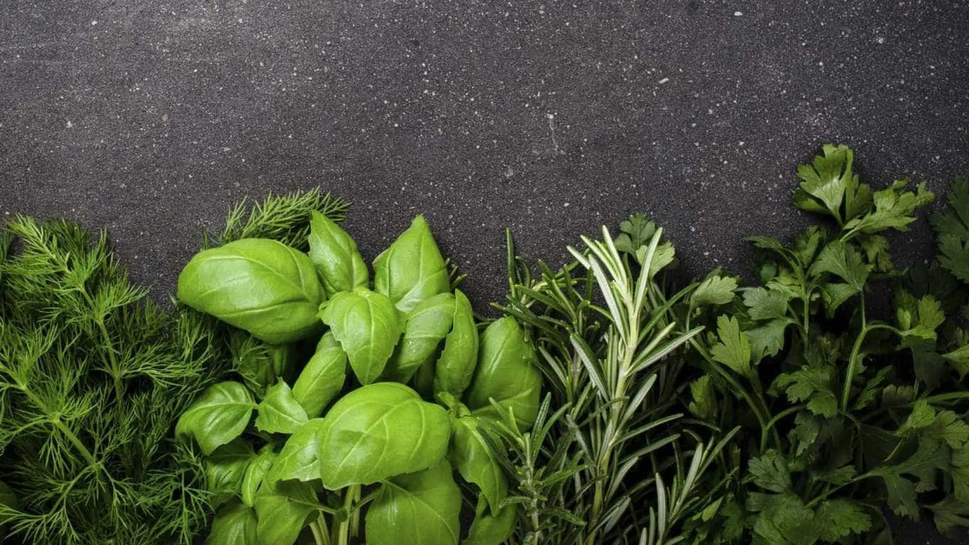 Os truques usados por chefs para as ervas frescas durarem semanas Os truques usados por chefs para as ervas frescas durarem semanas